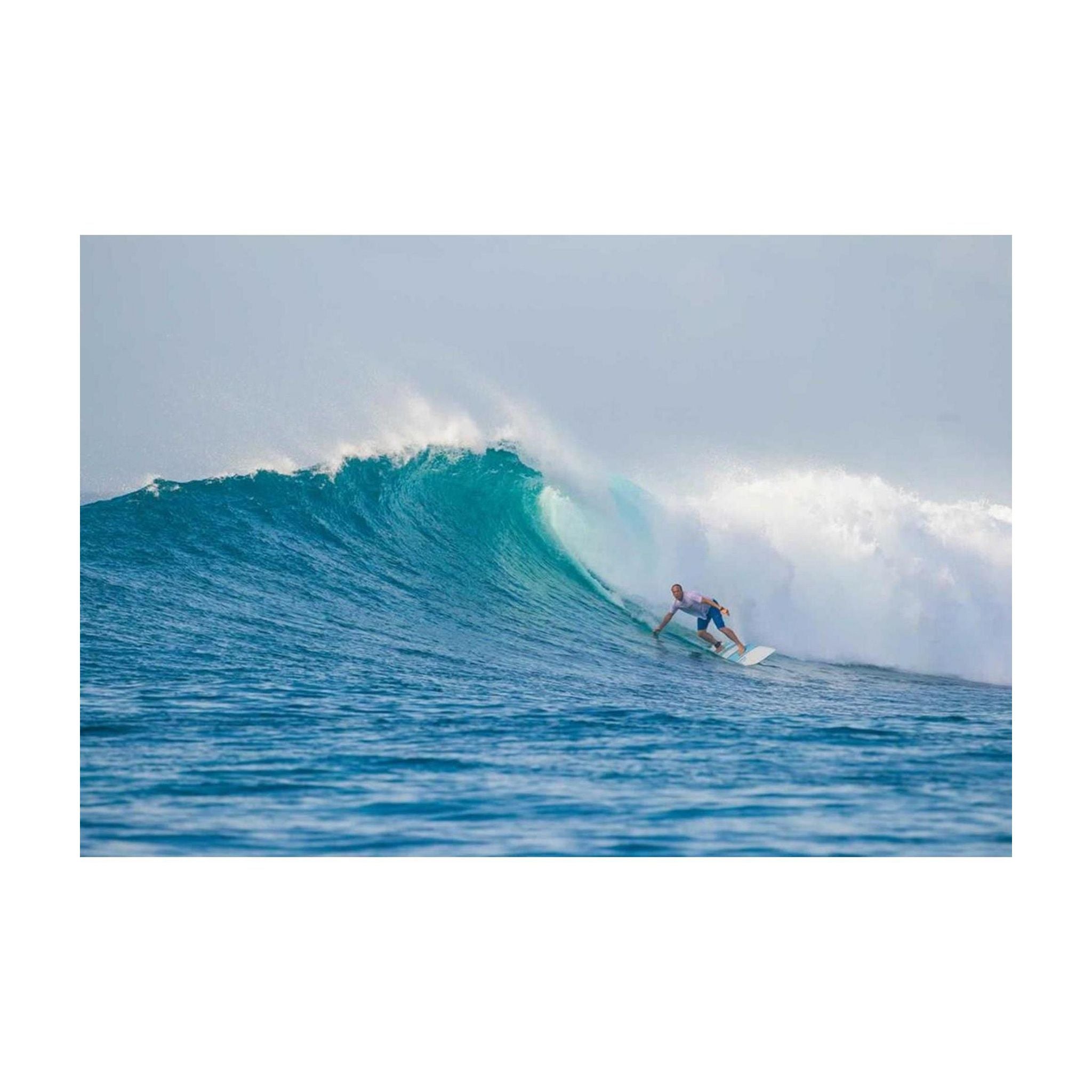 Surfboard TORQ TET Longboard Pinline