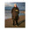 dryrobe advance long sleeve schwarz pink camo umkleidemantel