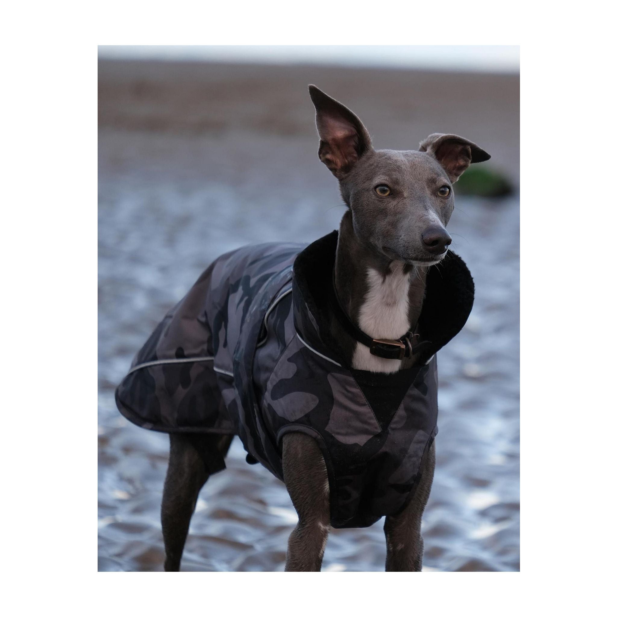 DRYROBE Dog Coat Dog coat
