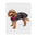 dryrobe dog coat hundemantel black camo pink