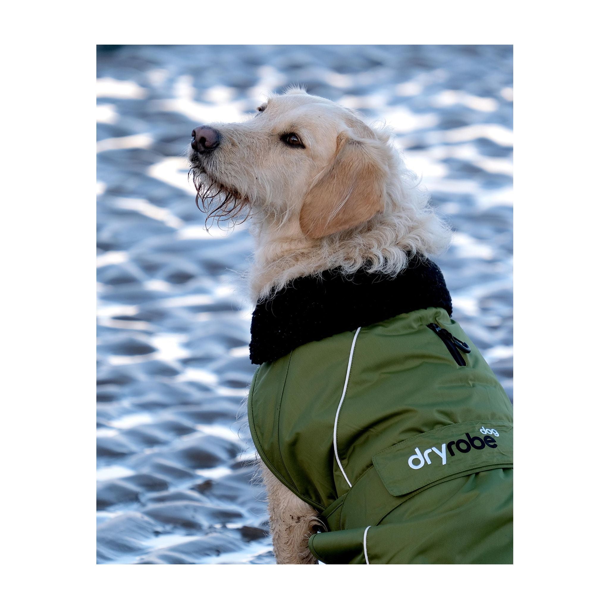 DRYROBE Dog Coat Dog coat