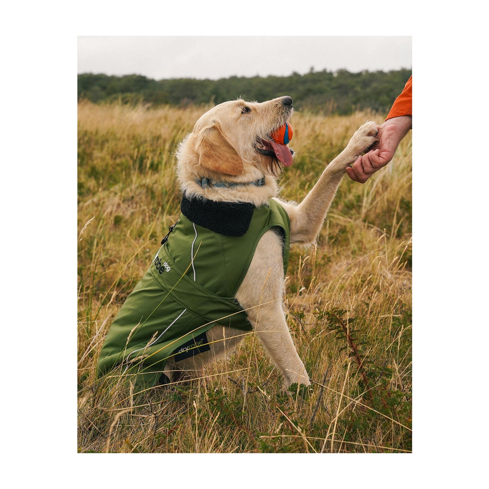 DRYROBE Dog Coat Dog coat