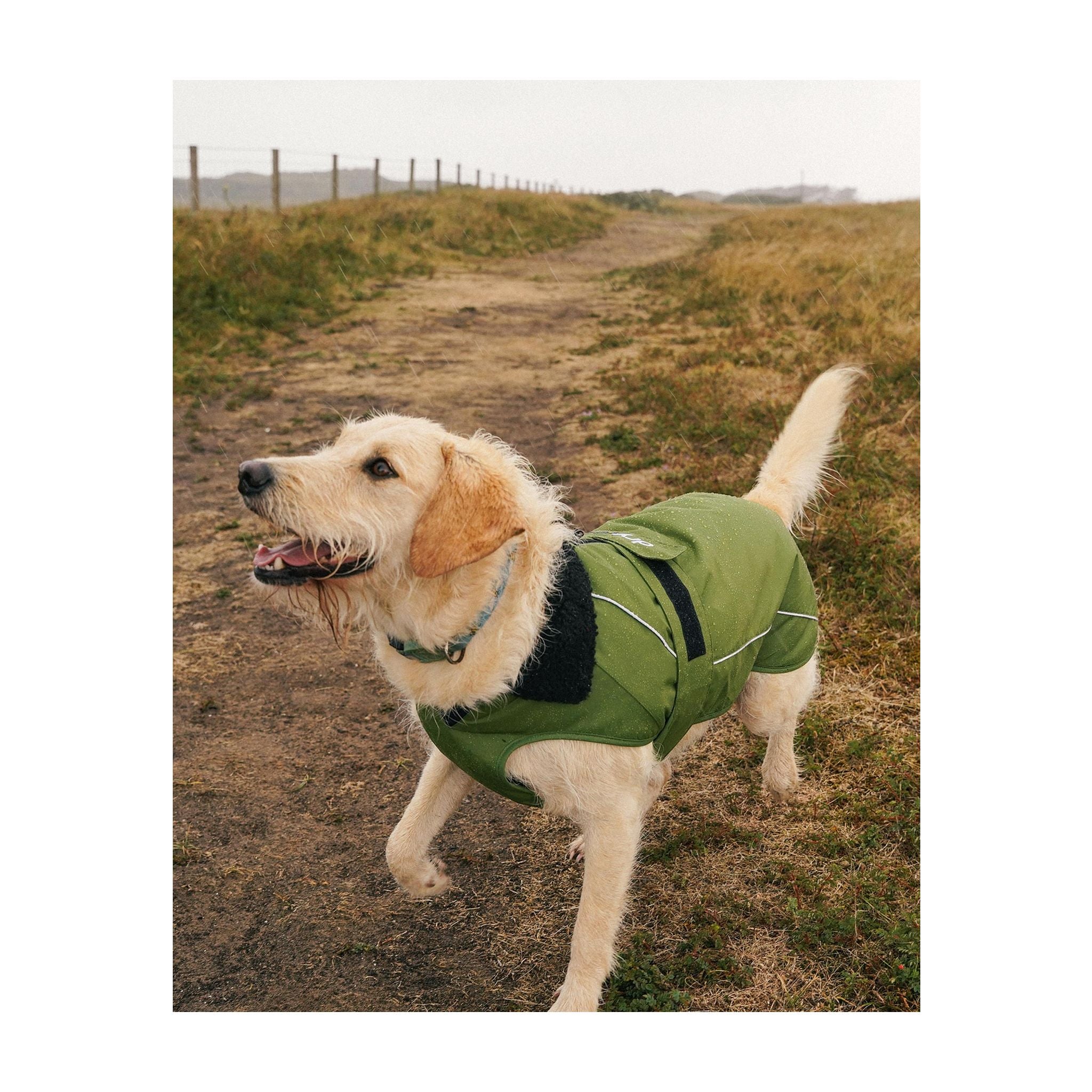 DRYROBE Dog Coat Dog coat