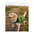 DRYROBE Dog Coat Hundemantel Dark Green Black Dogs