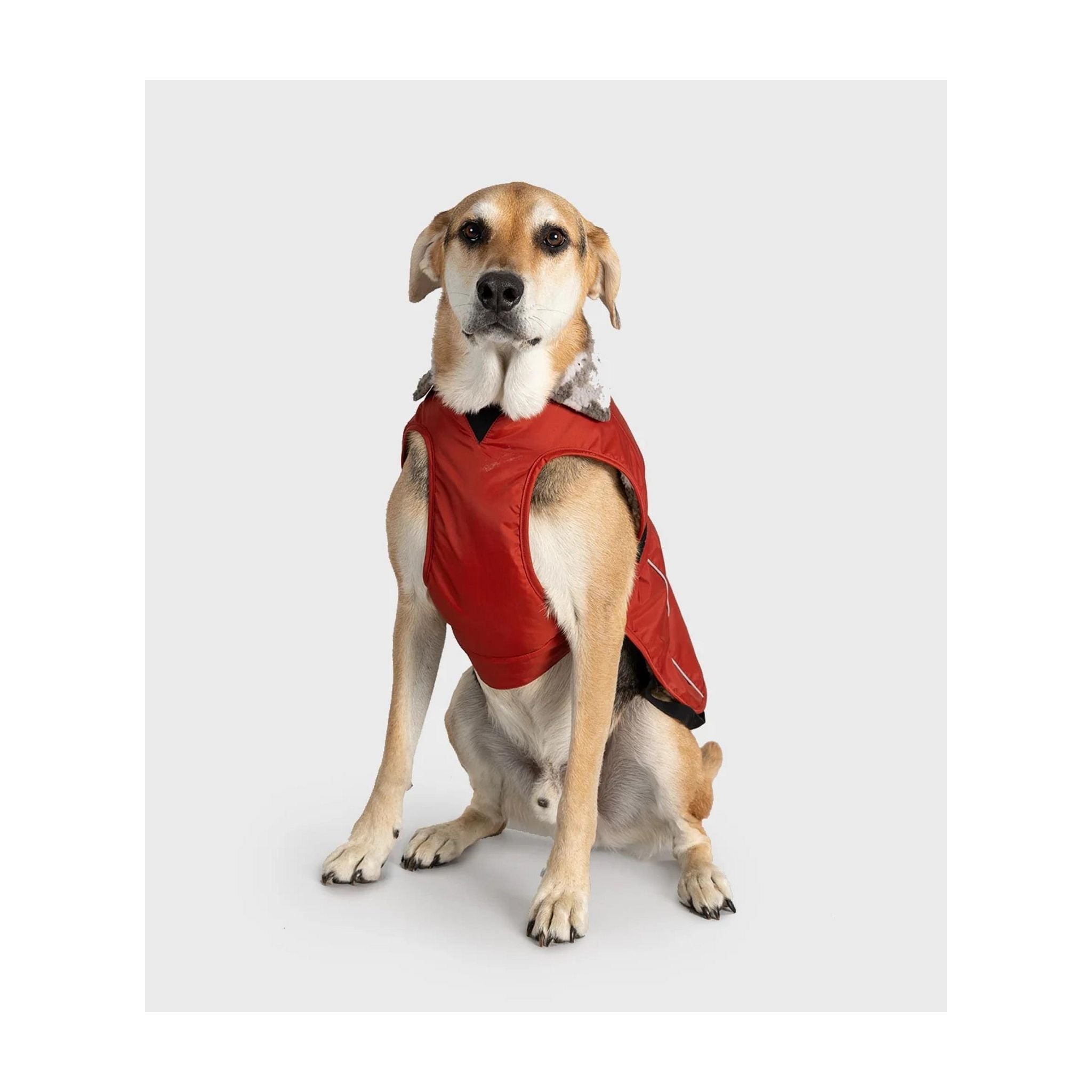 DRYROBE Dog Coat. Burnt Orange. XXL Dogs