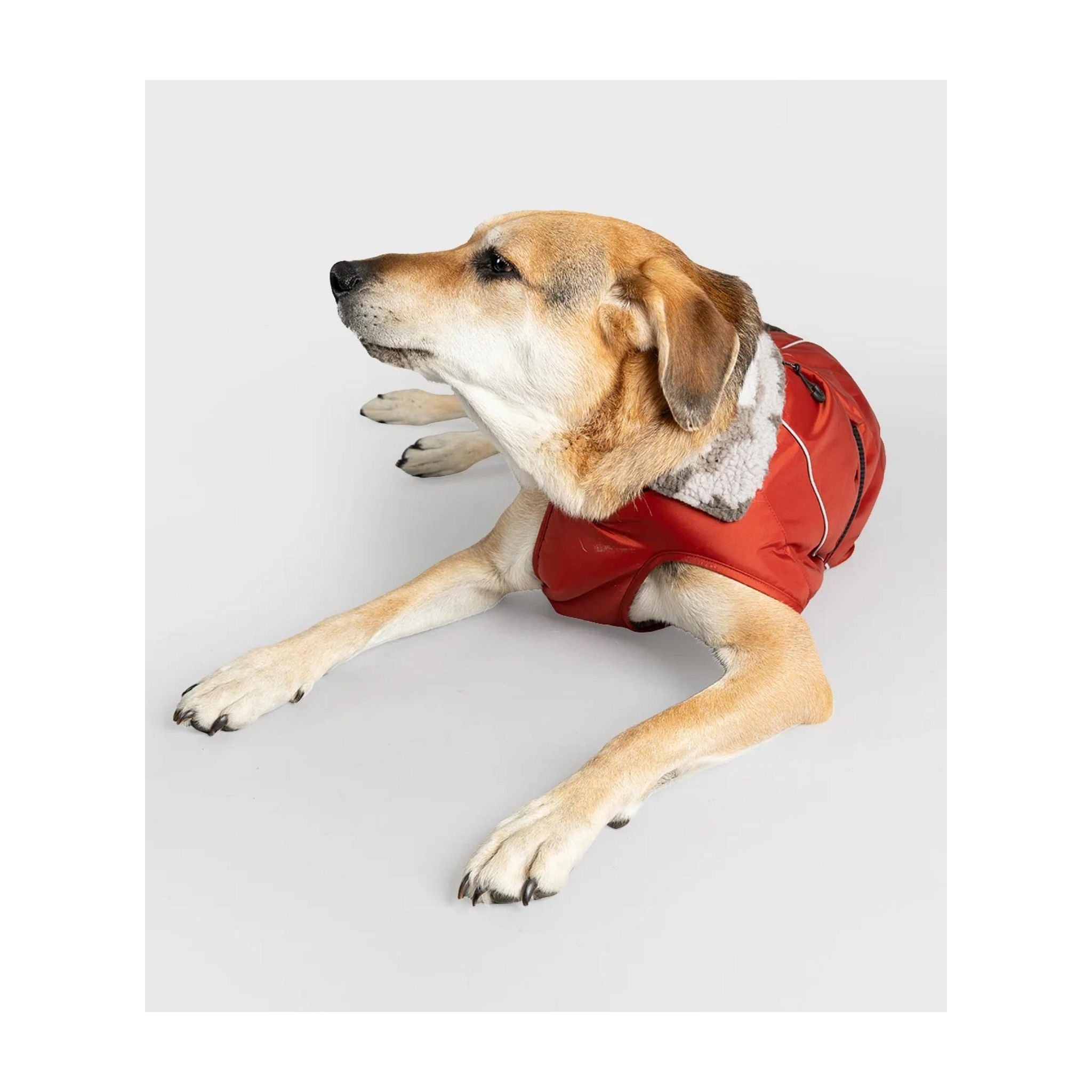 DRYROBE Dog Coat. Burnt Orange. XXL Dogs