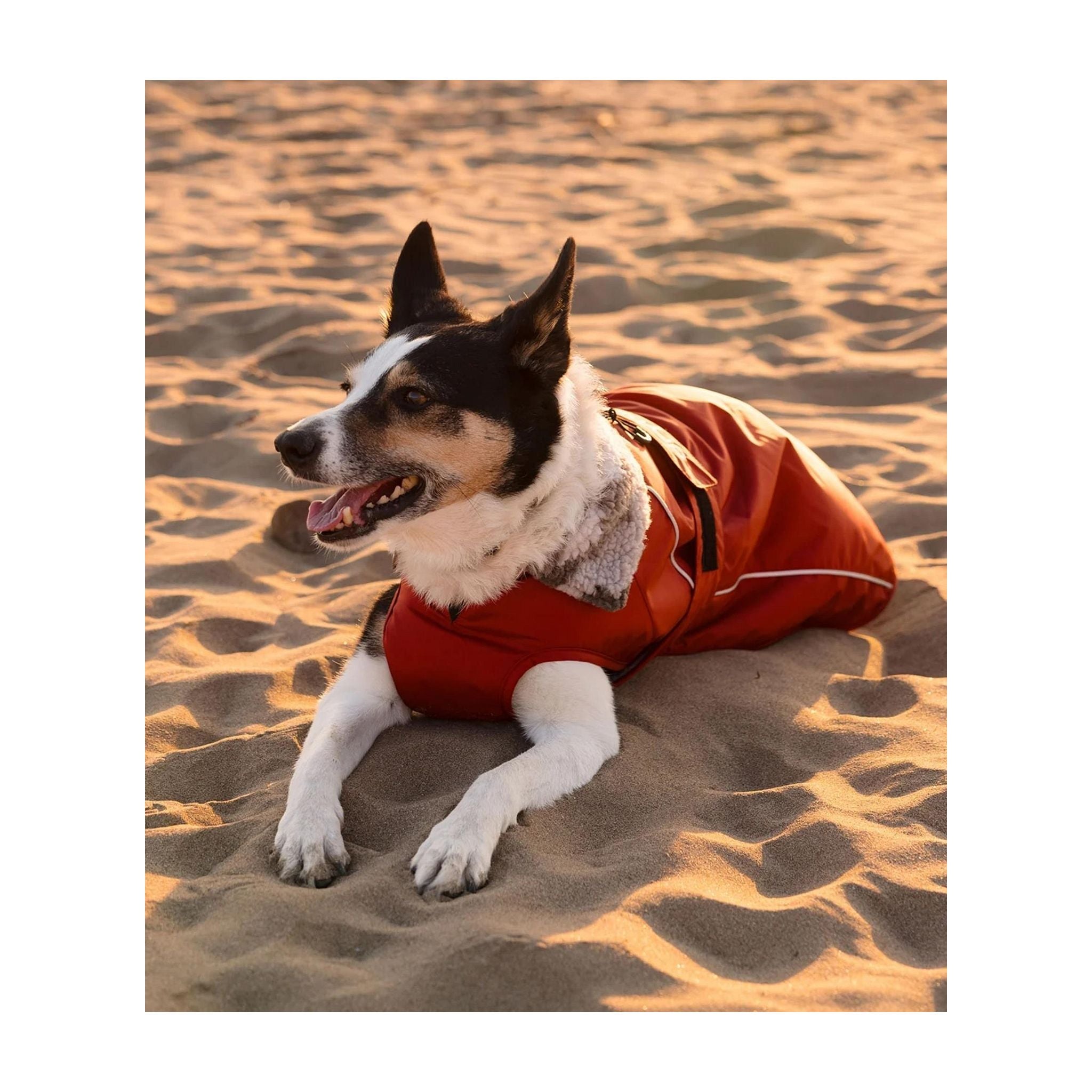 DRYROBE Dog Coat. Burnt Orange. XXL Dogs