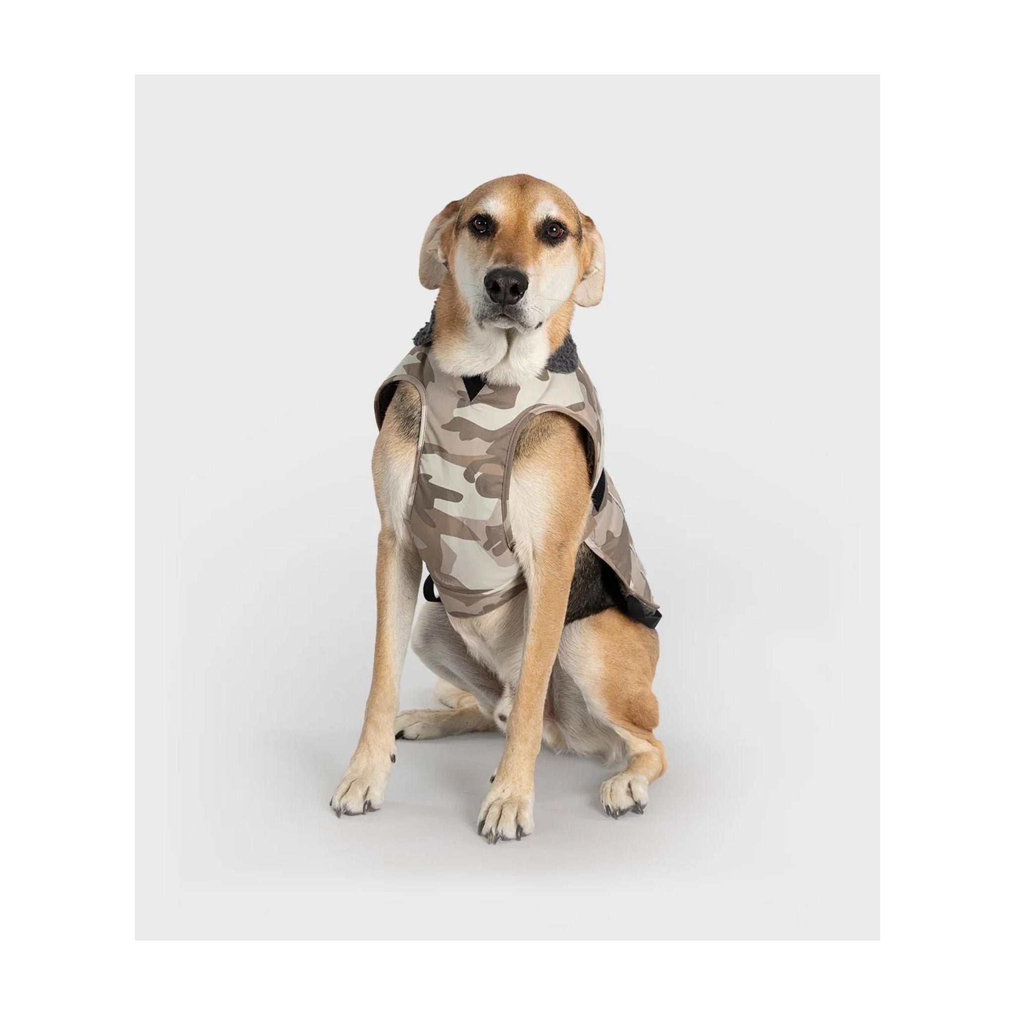 DRYROBE Dog Coat. Sand Camo. XXL Dogs