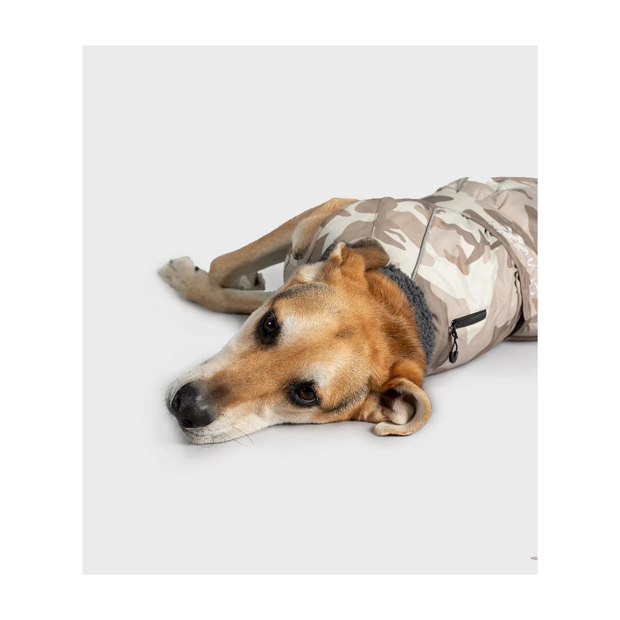 DRYROBE Dog Coat. Sand Camo. XXL Dogs