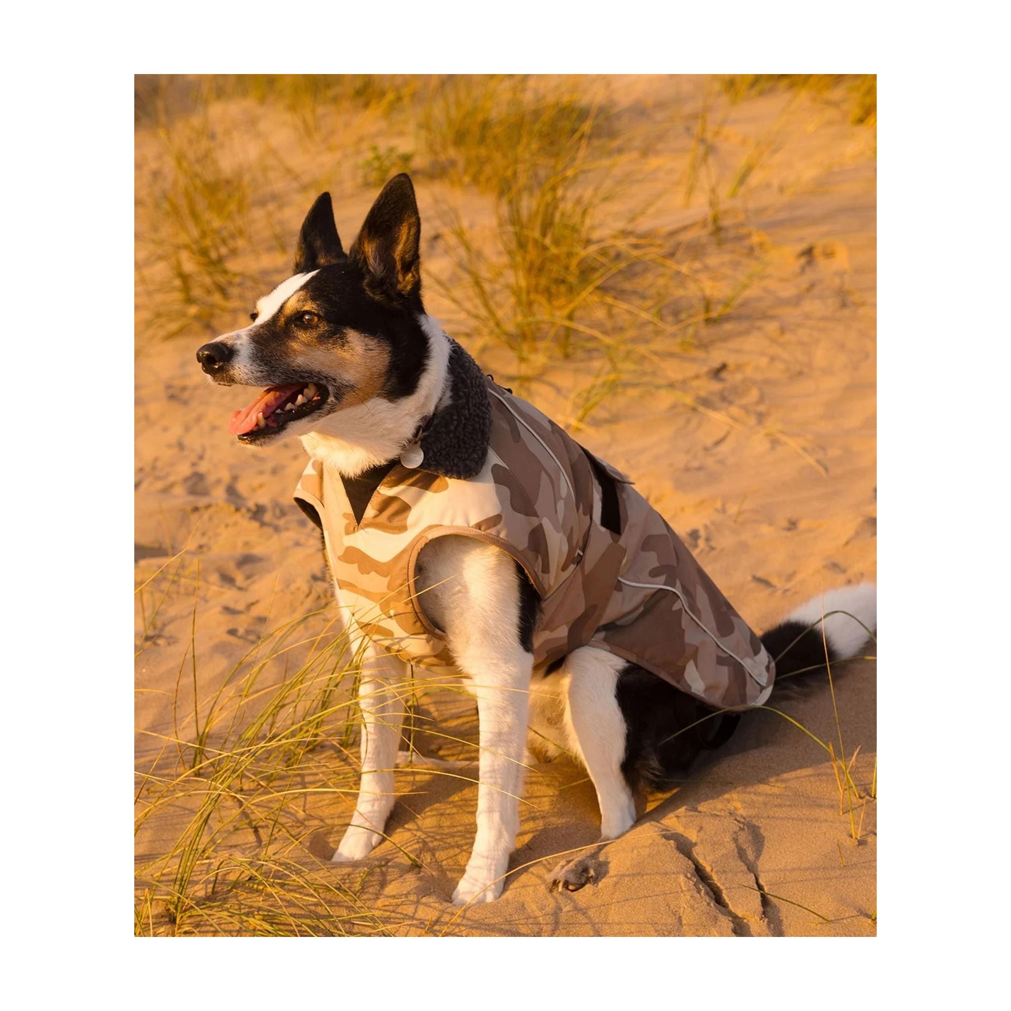 DRYROBE Dog Coat. Sand Camo. XXL Dogs