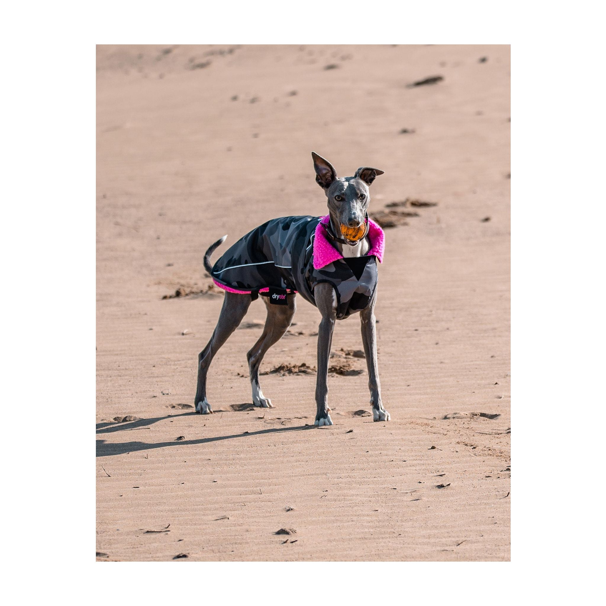 DRYROBE Dog Coat. Black Camo Pink. XXXL Dogs