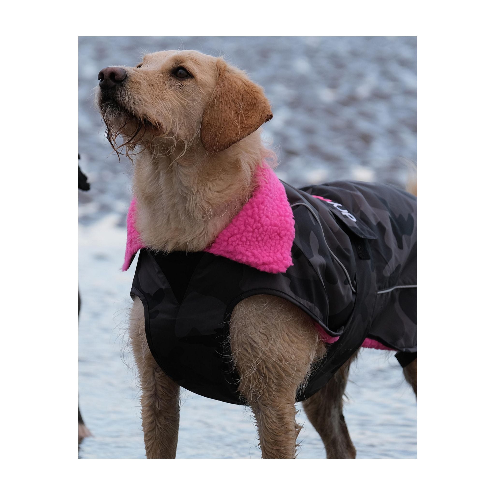 DRYROBE Dog Coat. Black Camo Pink. XXXL Dogs