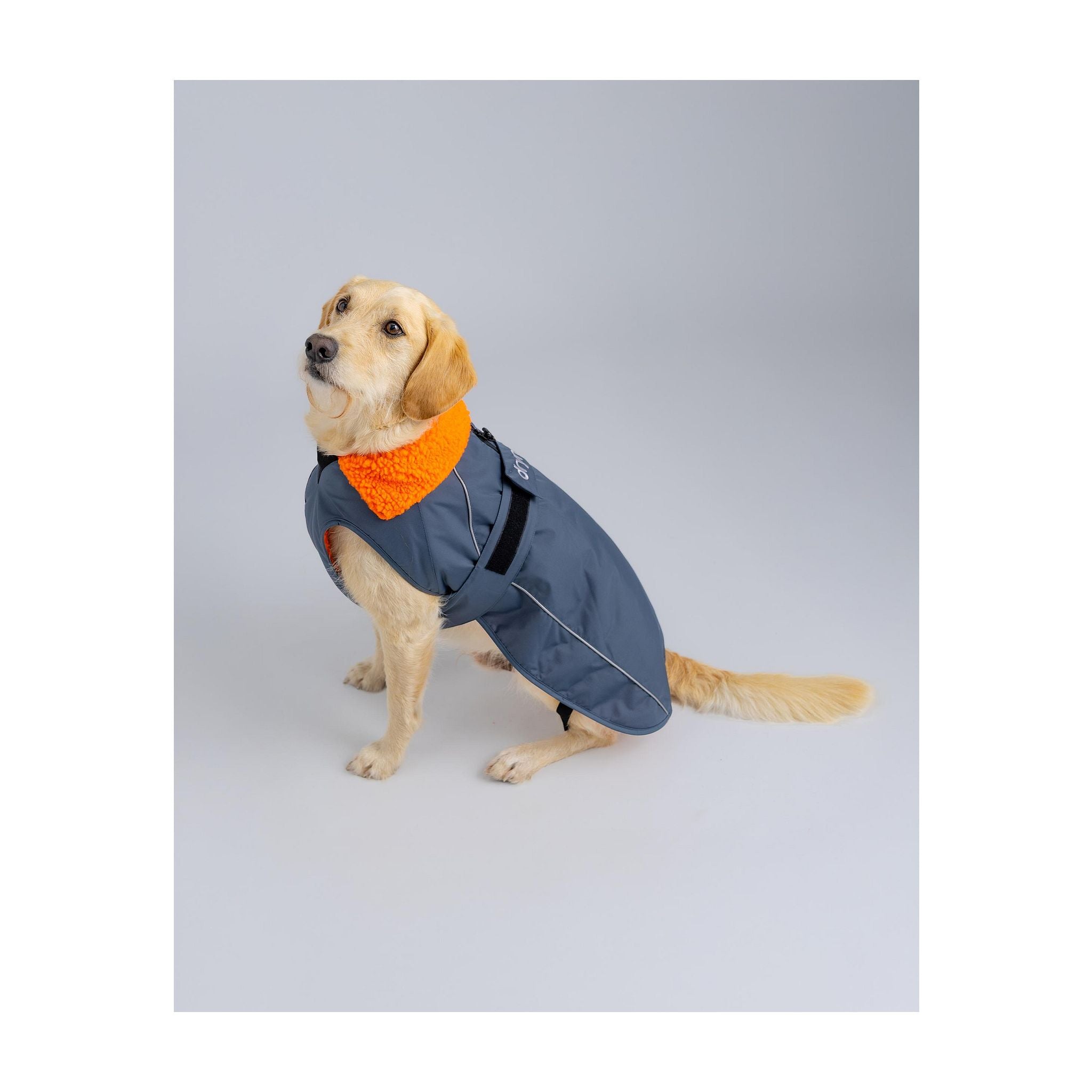 DRYROBE Dog Coat Hundemantel Dogs