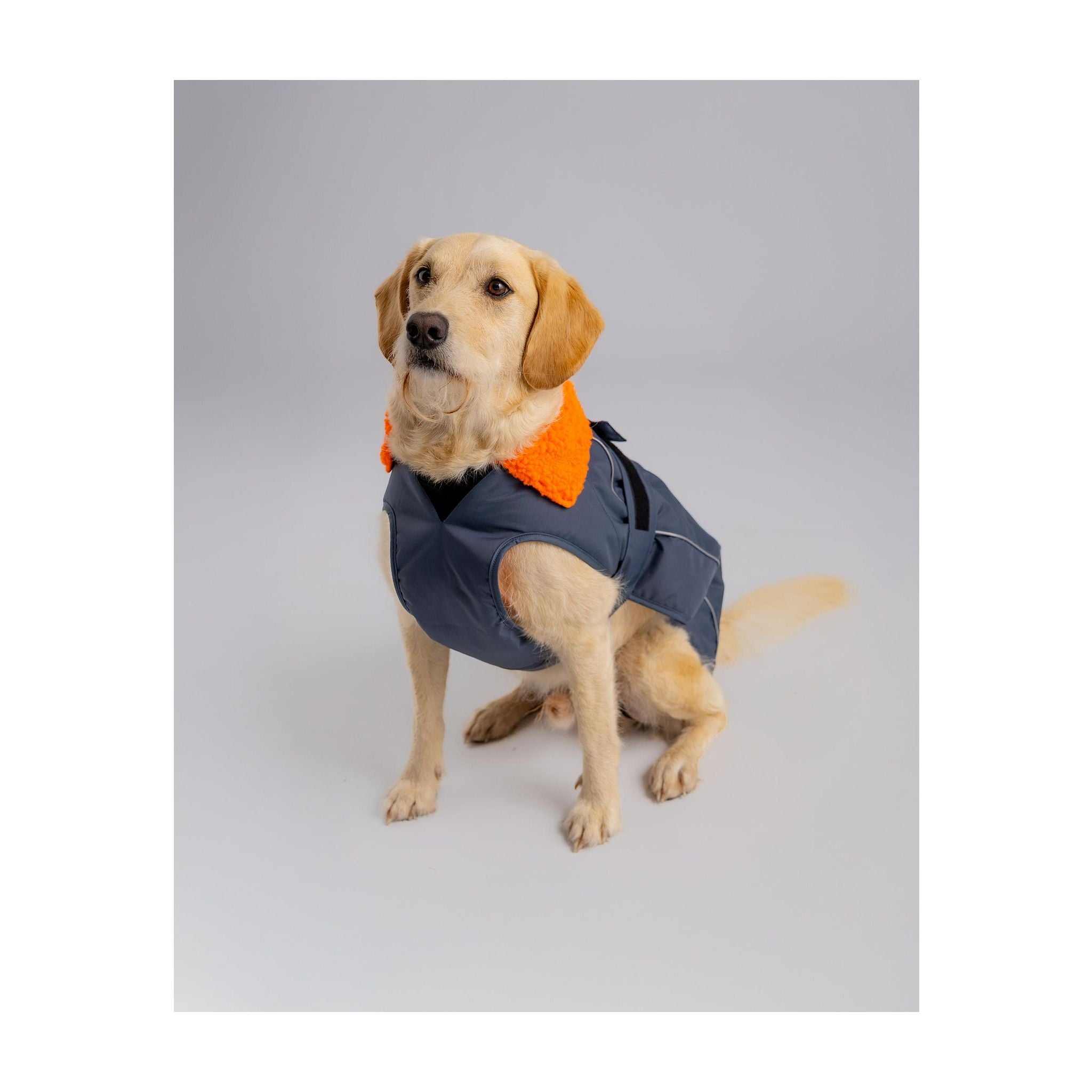 DRYROBE Dog Coat Hundemantel Dogs