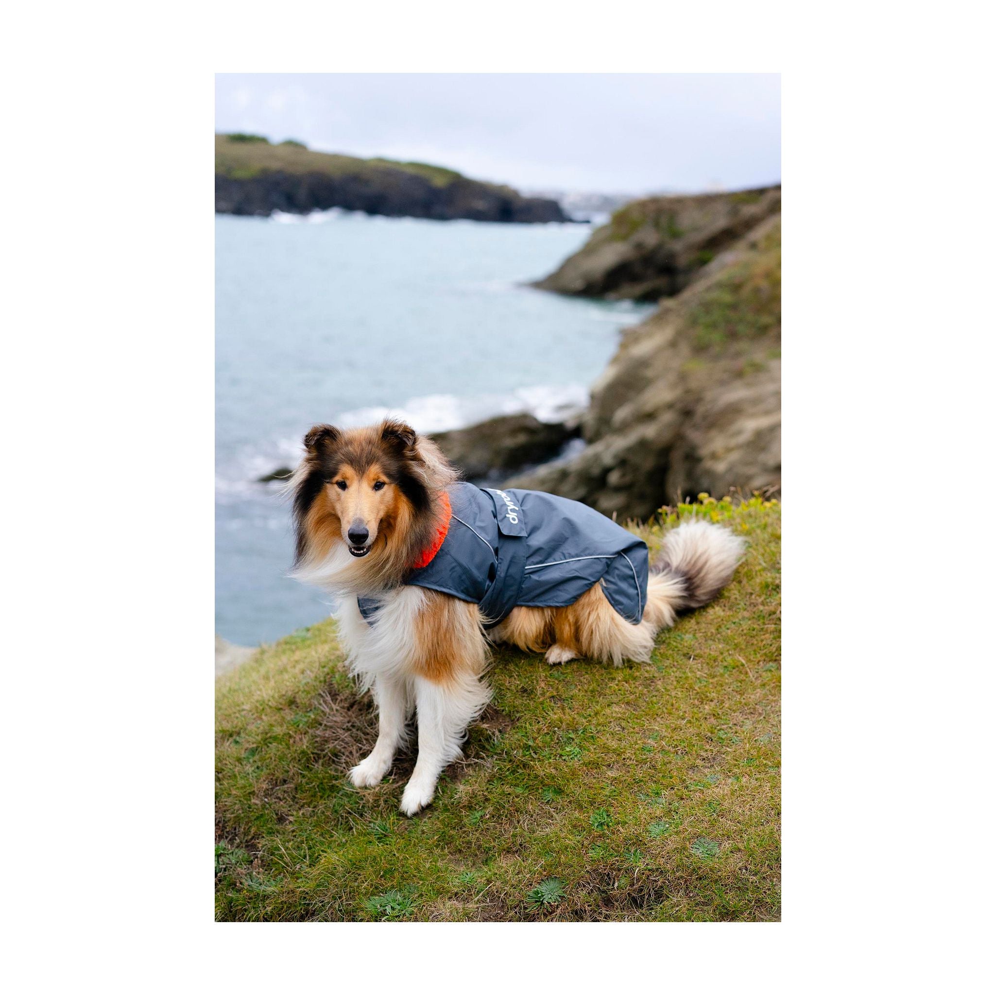 DRYROBE Dog Coat Hundemantel Dogs