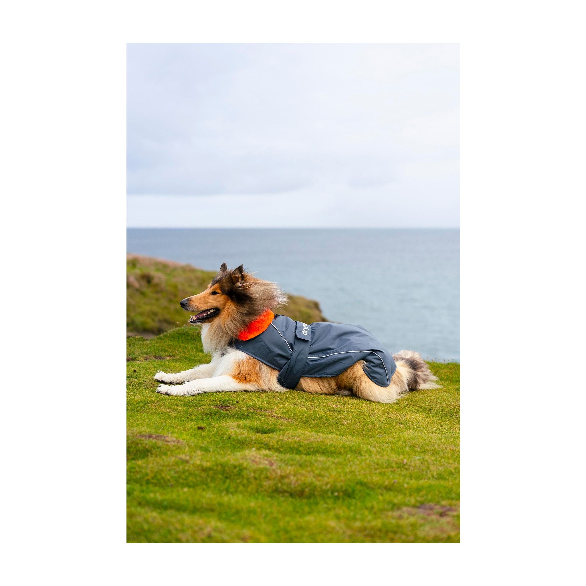 DRYROBE Dog Coat Hundemantel Dogs