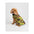 DRYROBE Dog Coat. Green Camo. XXXL Dogs
