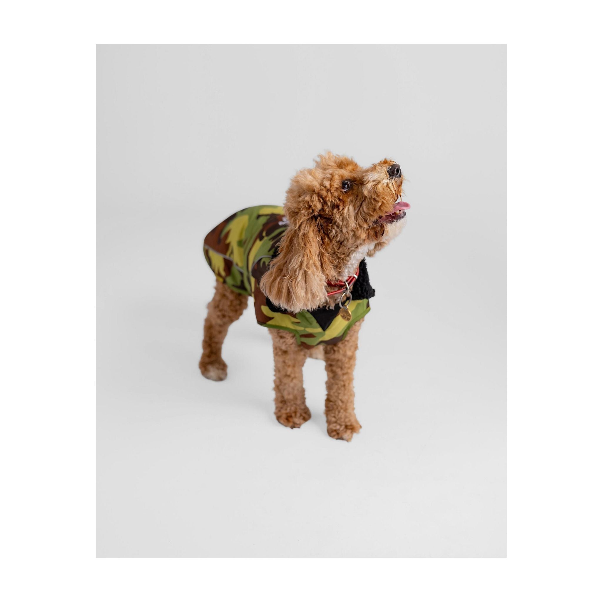 DRYROBE Dog Coat. Green Camo. XXXL Dogs