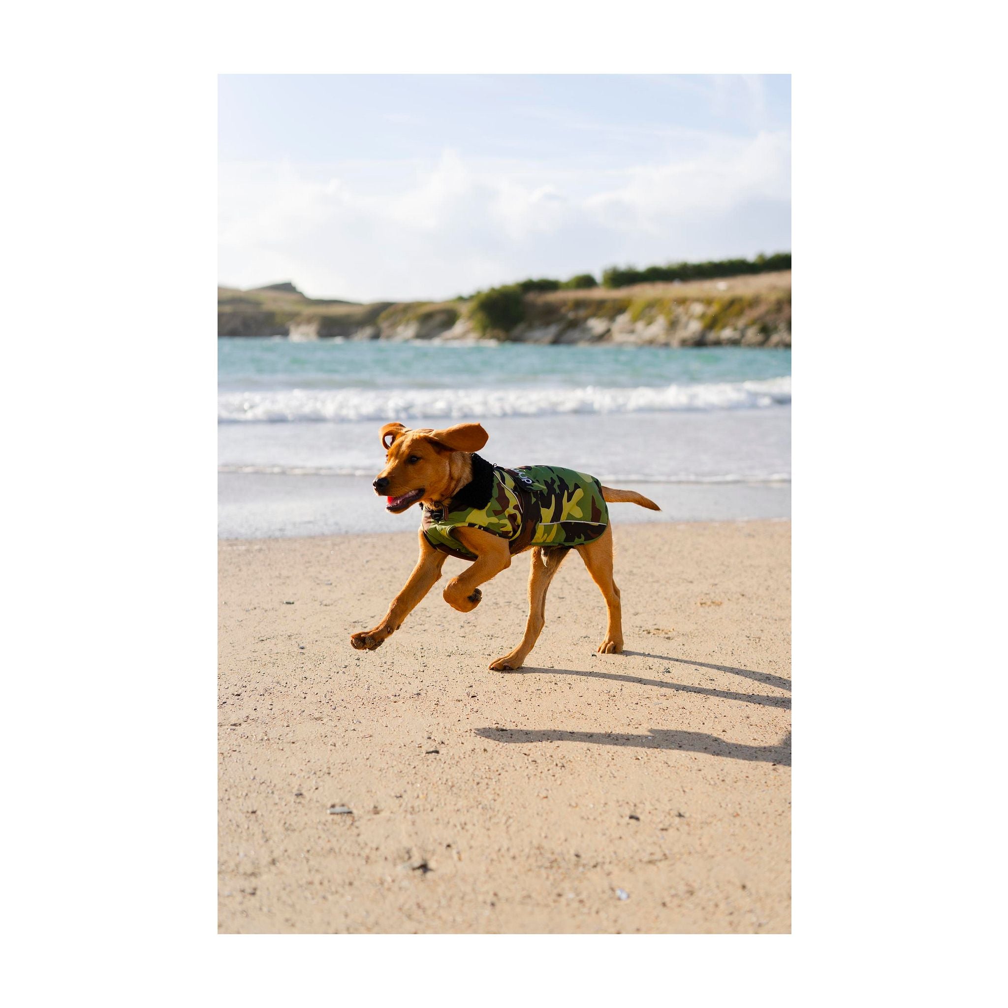 DRYROBE Dog Coat. Green Camo. XXXL Dogs