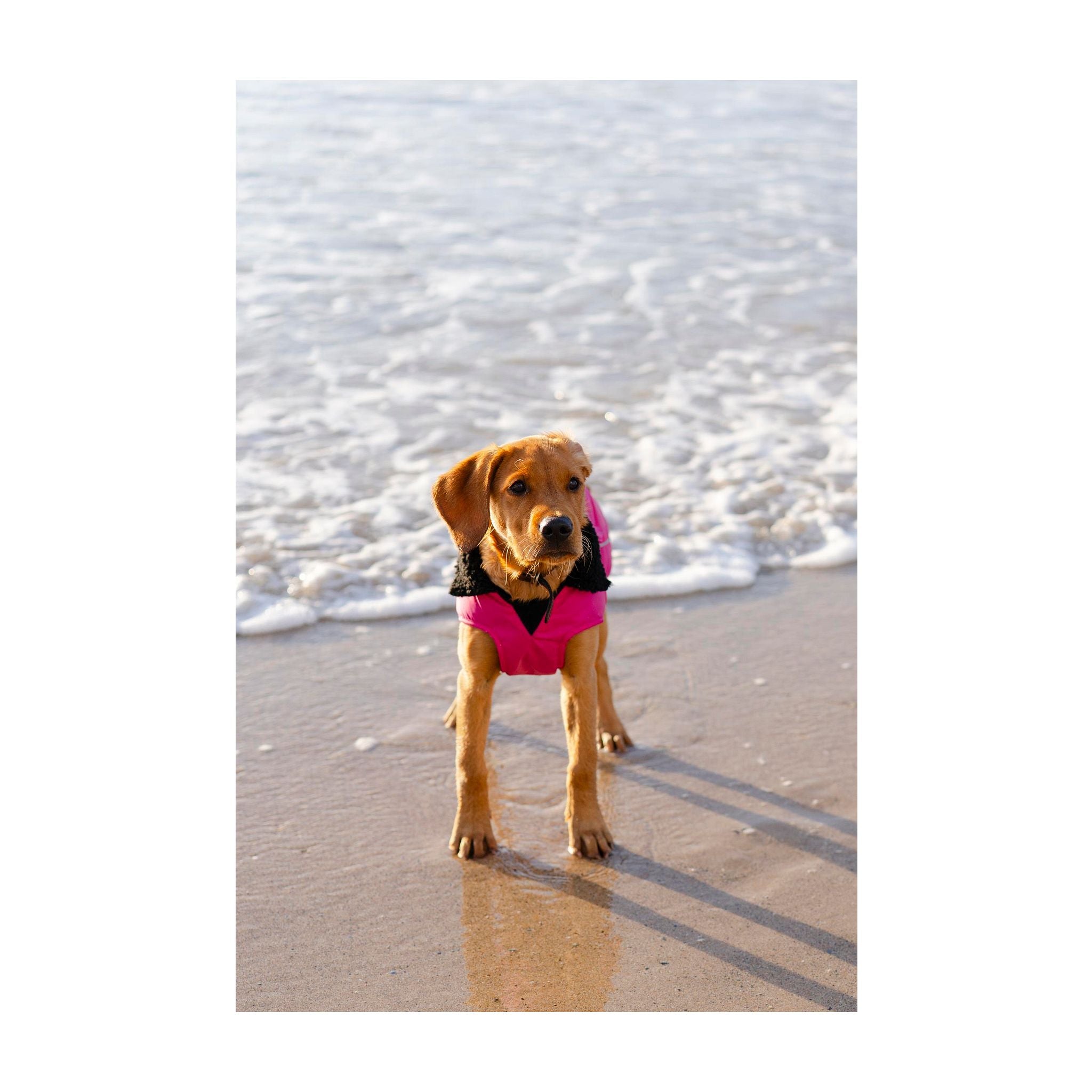 DRYROBE Dog Coat. Pink and Black. XXXL Dogs