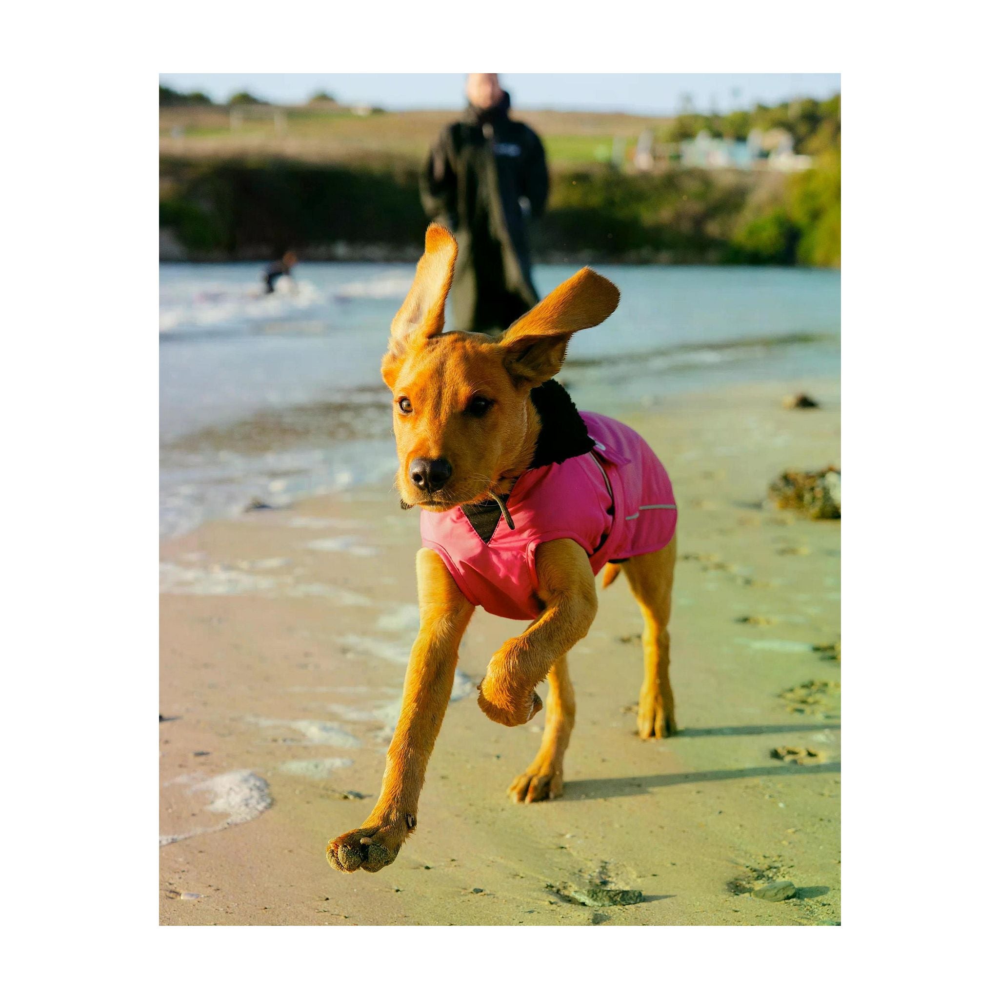 DRYROBE Dog Coat. Pink and Black. XXXL Dogs