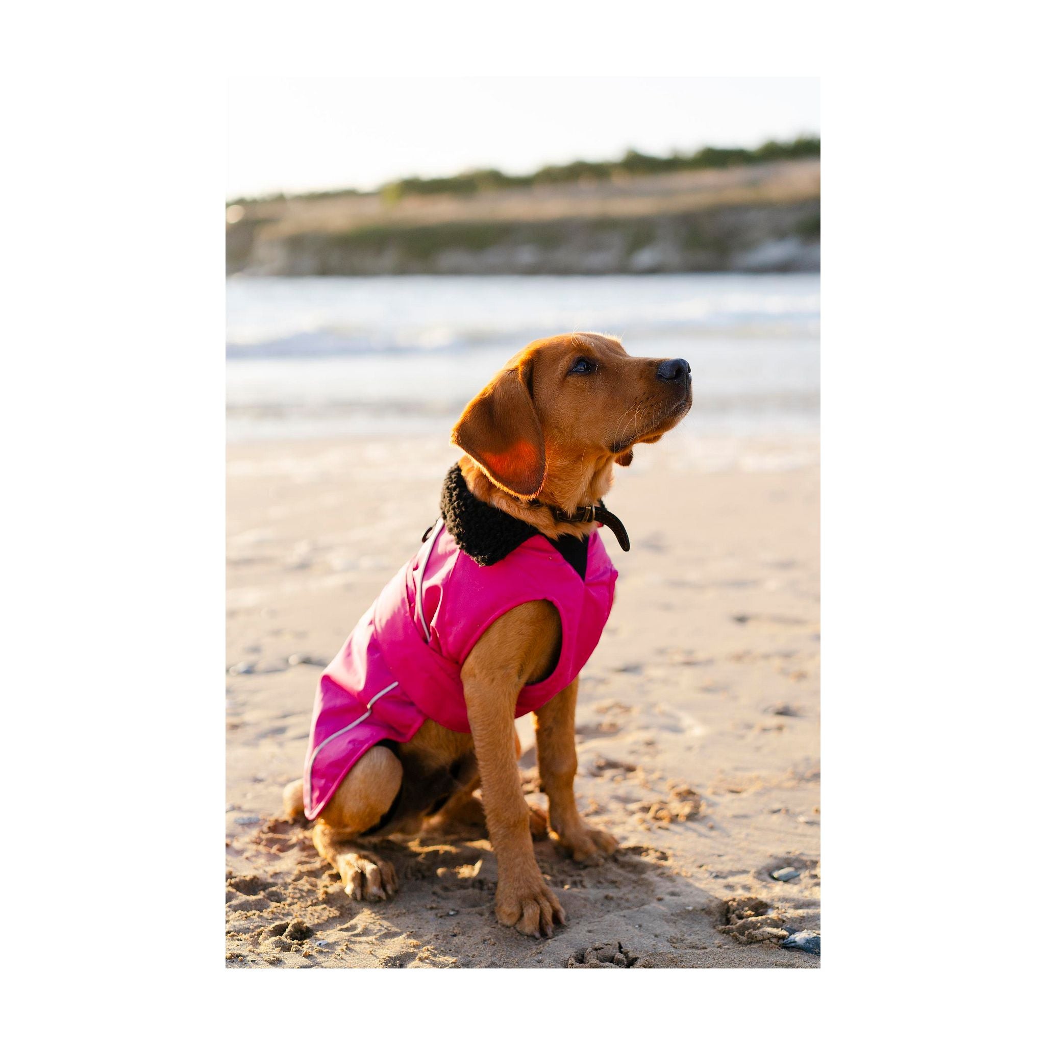 DRYROBE Dog Coat. Pink and Black. XXXL Dogs