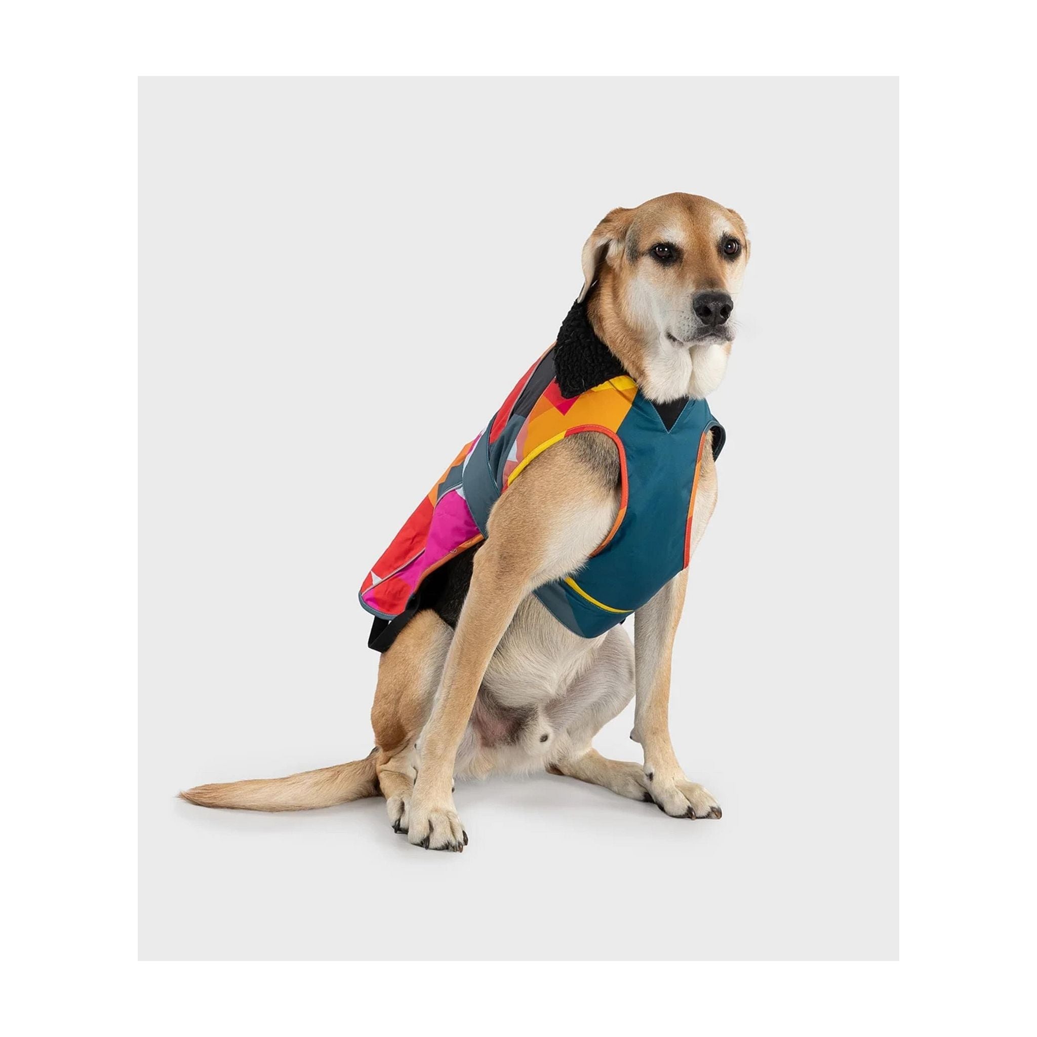 DRYROBE Dog Coat Hundemantel Abstract XXXL Multicolor Dogs