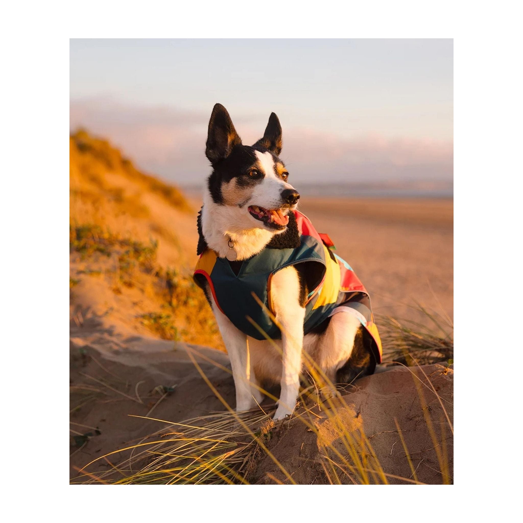 DRYROBE Dog Coat Hundemantel Abstract XXXL Multicolor Dogs