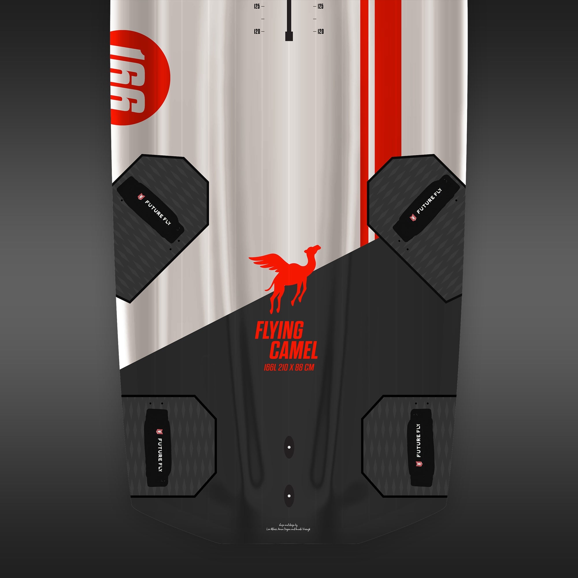 Future Fly Flying Camel 2026 windsurf Foiling race board