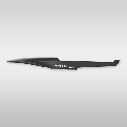 duotone frontpiece al 3bs