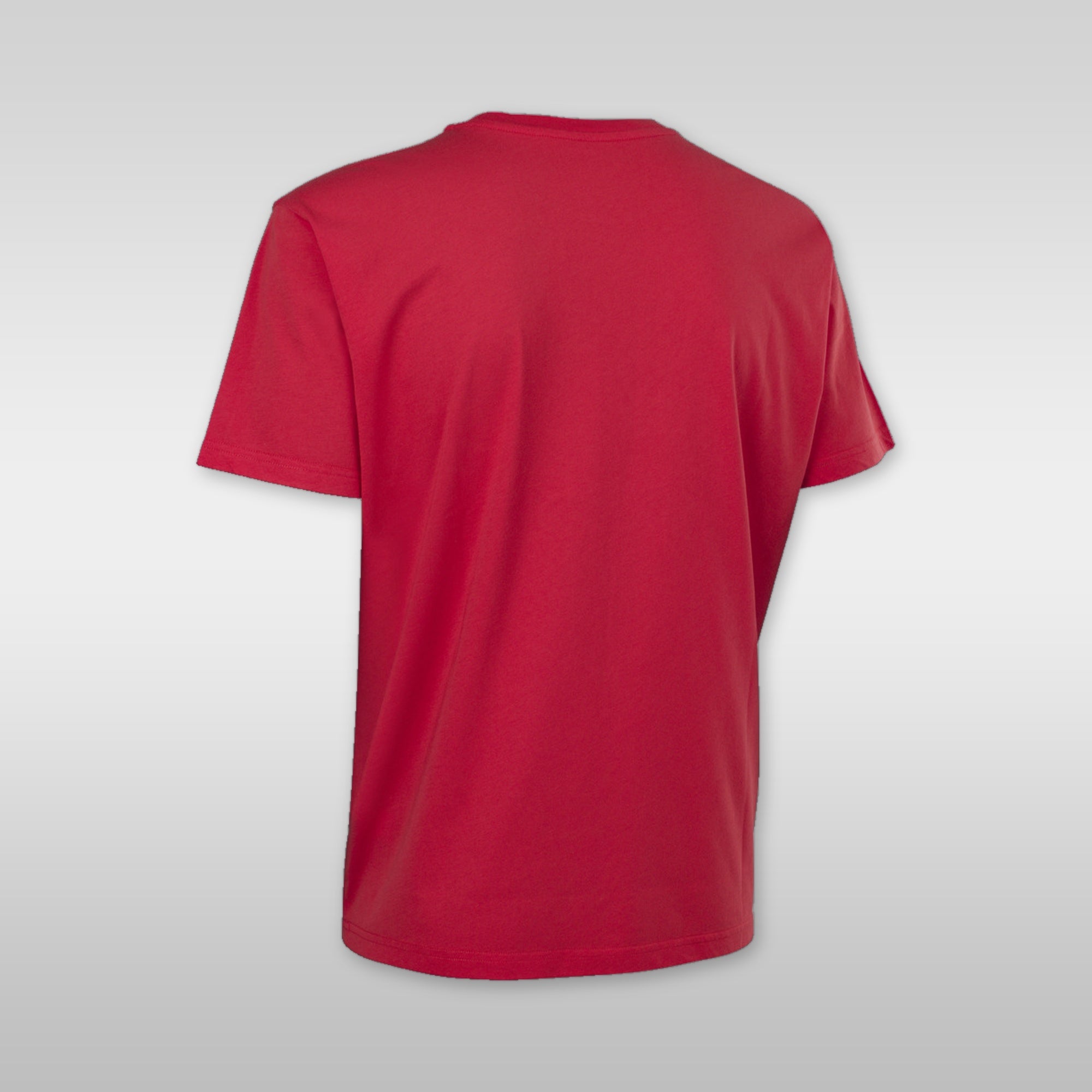 ION Tee Ionic SS Herren