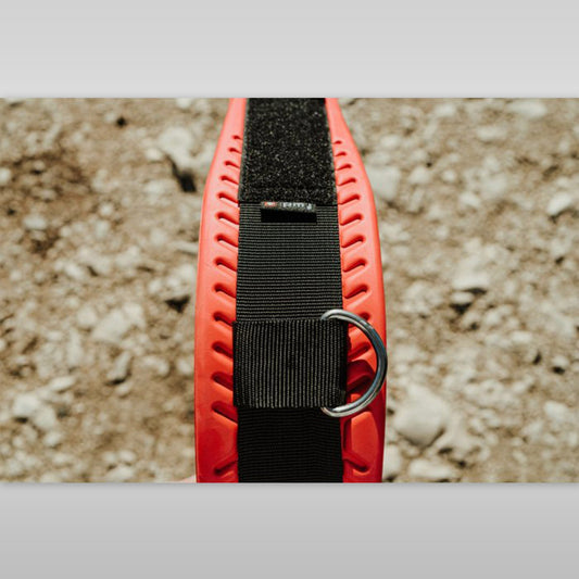 WIP WING BELT 2.0 Wingfoil Harness Harness Forward WIP 