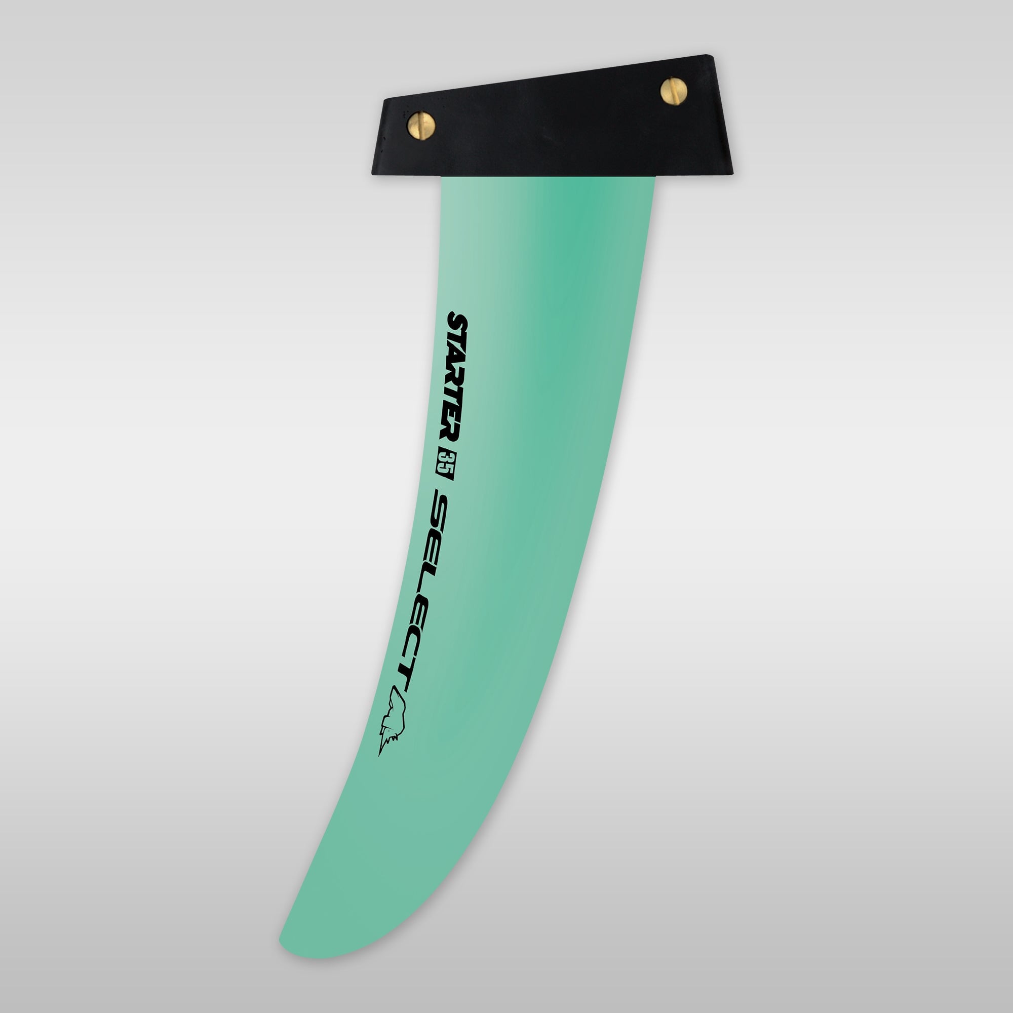 windsurfing windsurf fin windsurffinne Finne SelectFins Starter G10