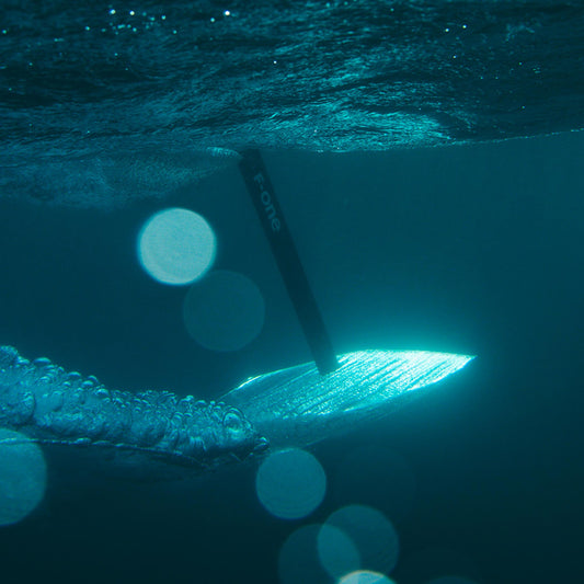 F-One Foil HM Carbon Mast 14 Titan-2 T2 2026