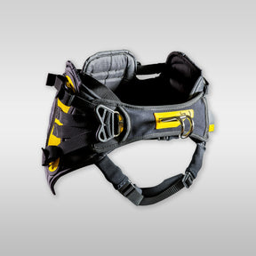 Point 7 Seat Harness Sitztrapez 2022 Harness Point 7 