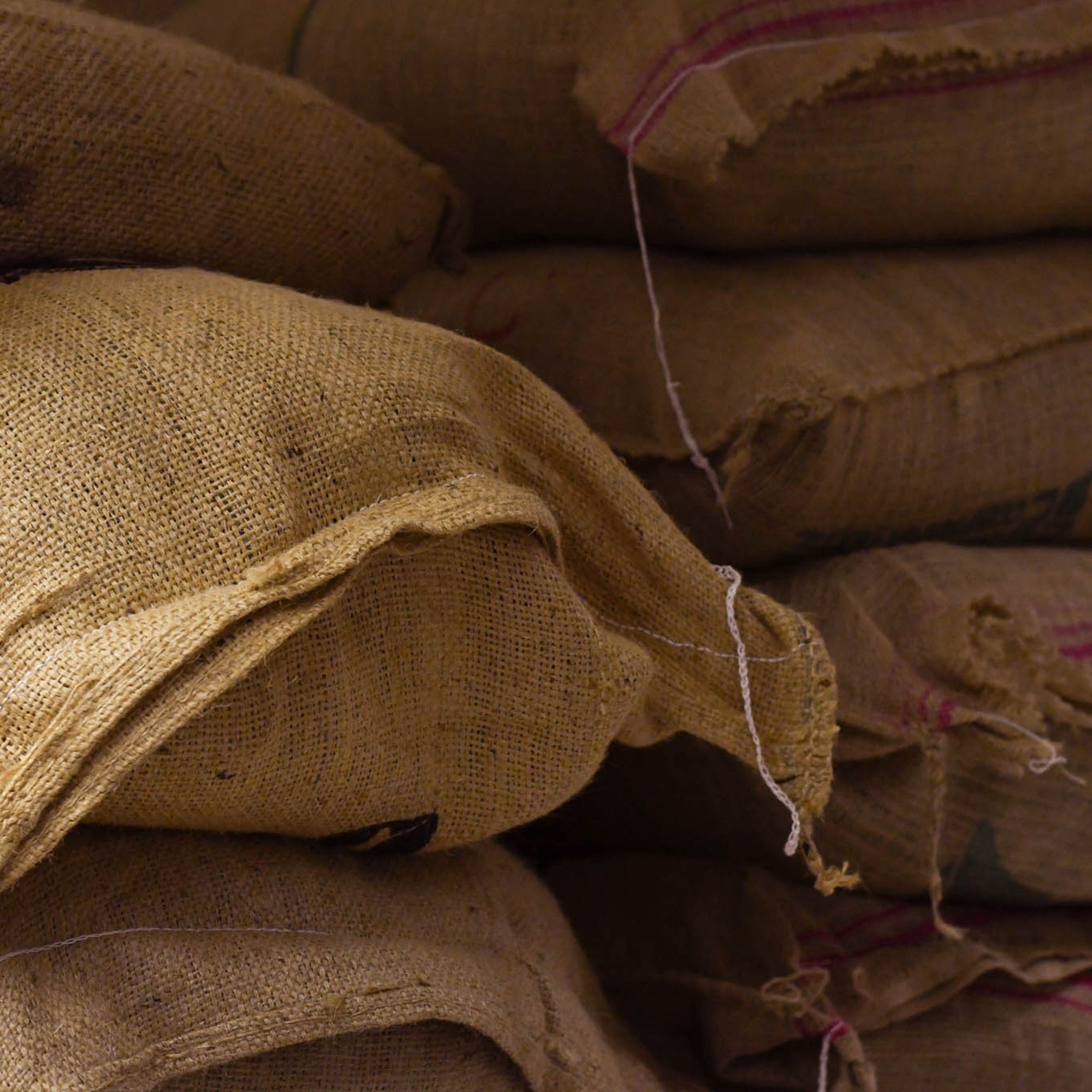 windsurfshop windsurf shop windsurf-shop  surfshop windsurfen lernen Conatins-Coffee-Roasters_Windsurfcoffee Kaffee