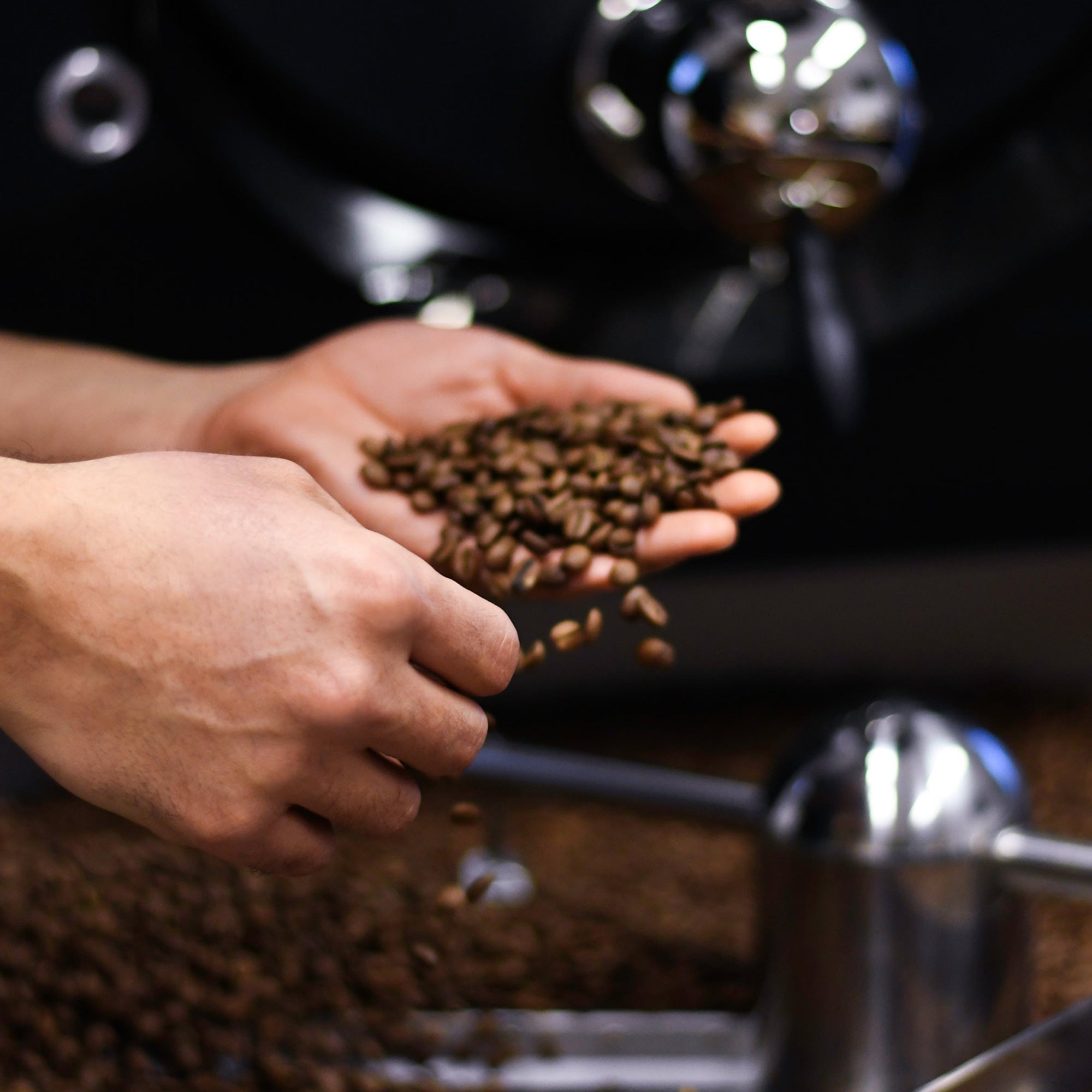 windsurfshop windsurf shop windsurf-shop  surfshop windsurfen lernen Conatins-Coffee-Roasters_Windsurfcoffee Kaffee