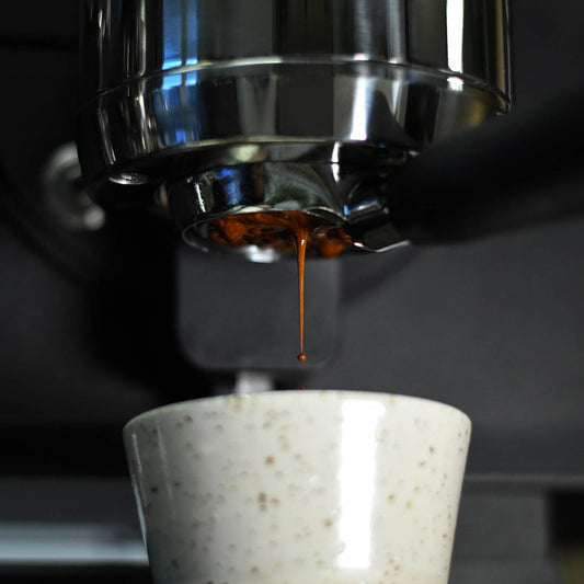 windsurfshop windsurf store windsurf-shop surfshop learn windsurfing Conatins-Coffee-Roasters_Windsurfcoffee Coffee