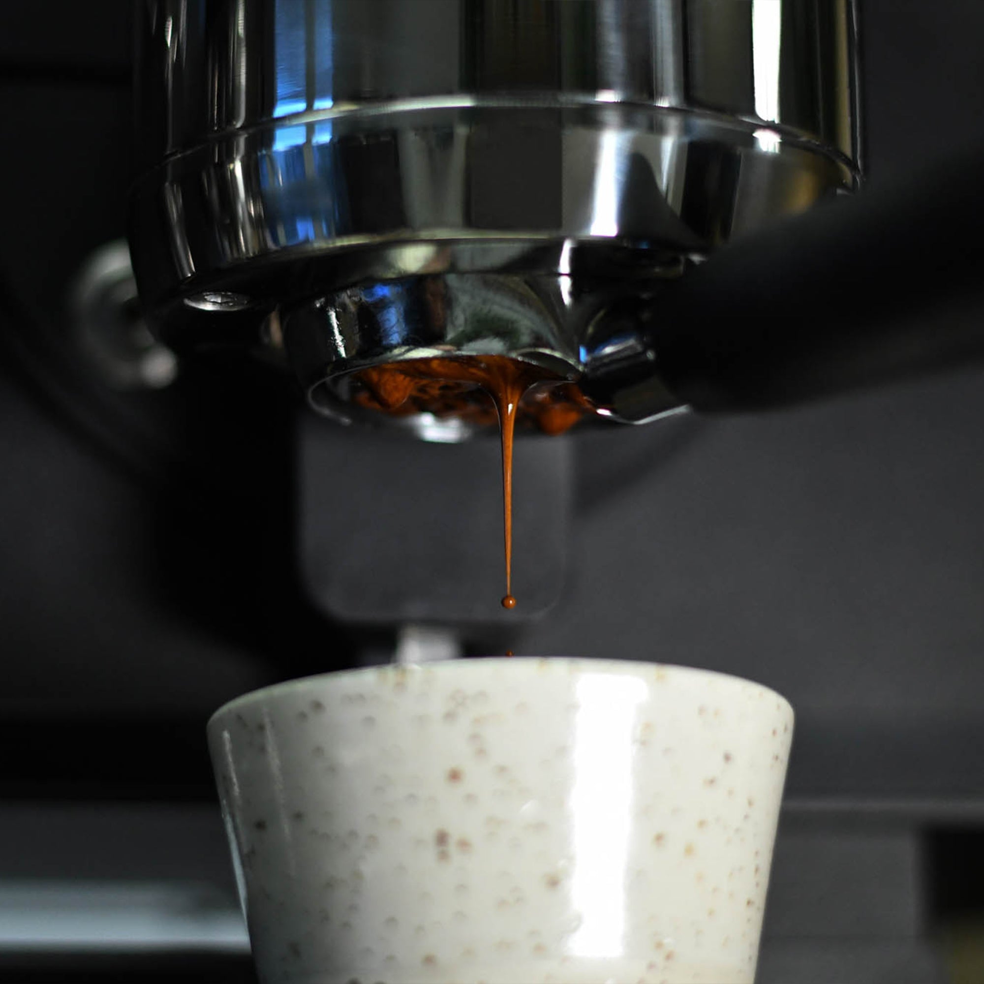 windsurfshop windsurf shop windsurf-shop  surfshop windsurfen lernen Contains-Coffee-Roasters Windsurfcoffee Coffee Kaffee