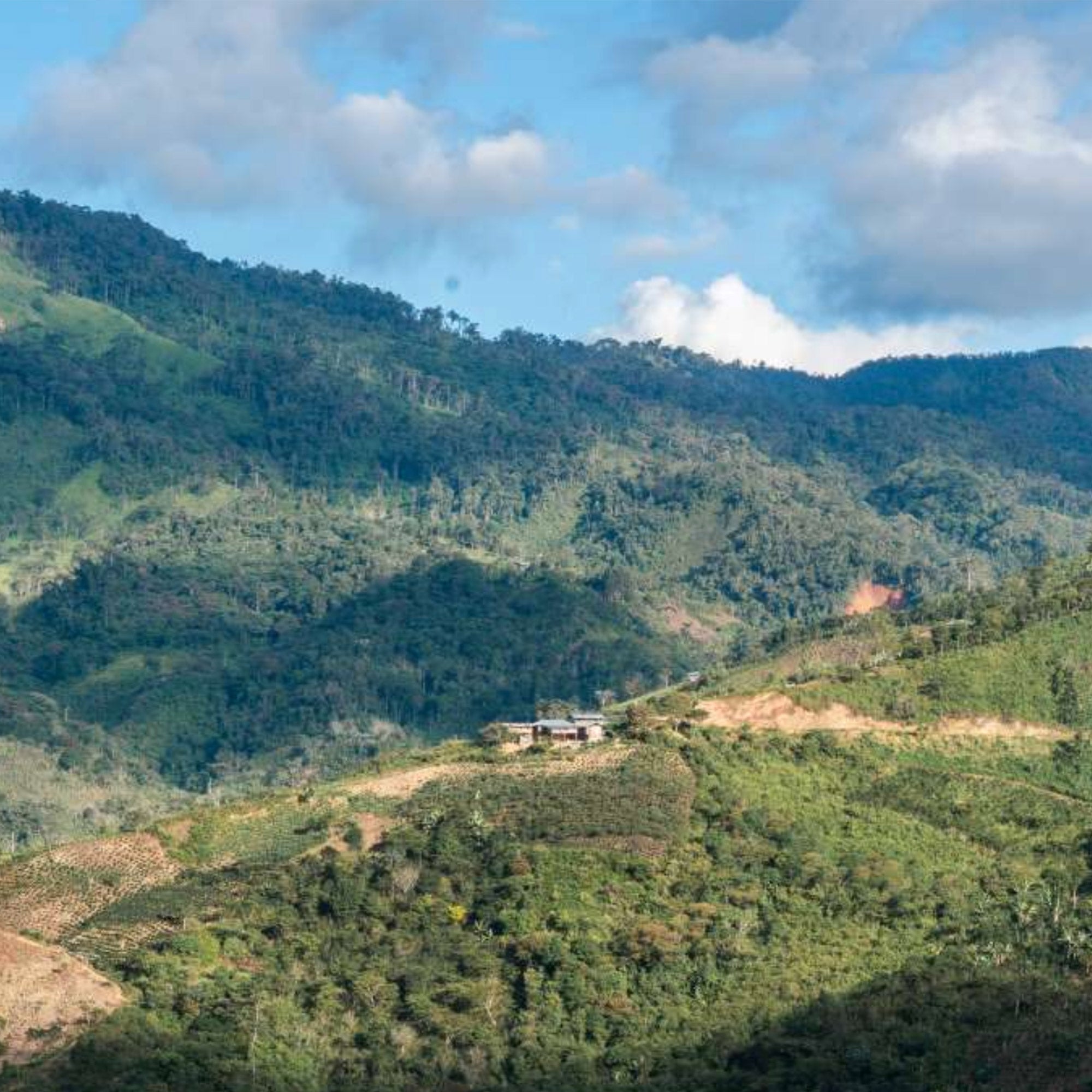 windsurfshop windsurf store windsurf-shop surfshop learn windsurfing Contains-Coffee-Roaster Coffee Coffee