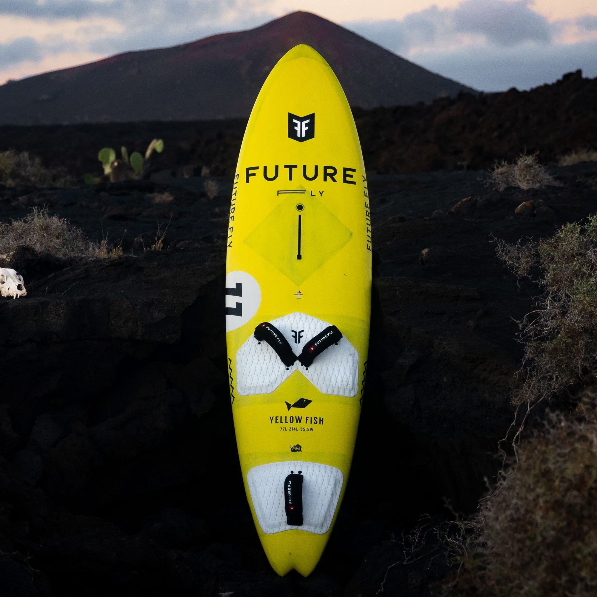 windsurfshop windsurf store windsurf-shop surfshop learn windsurfing Future-Fly Windsurfing